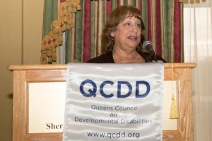 QCDD Council 2014