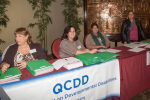 QCDD Council 2014